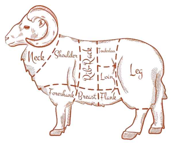 Sheep cuts of meat available at Hackland Farms
