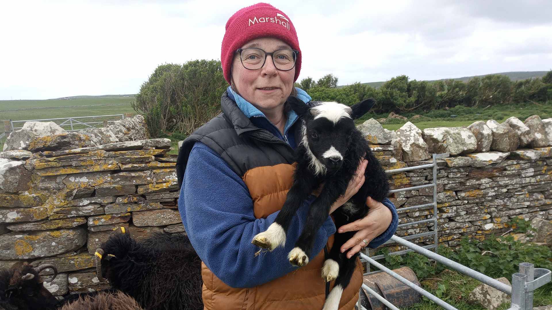 Pictures from Hackland Farms, Orkney