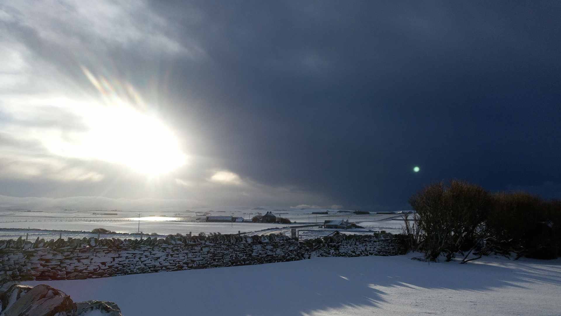 Pictures from Hackland Farms, Orkney