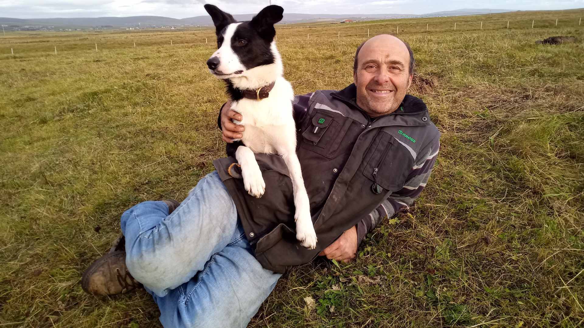 Pictures from Hackland Farms, Orkney