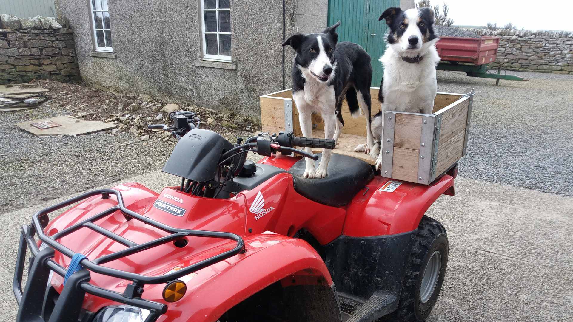 Pictures from Hackland Farms, Orkney