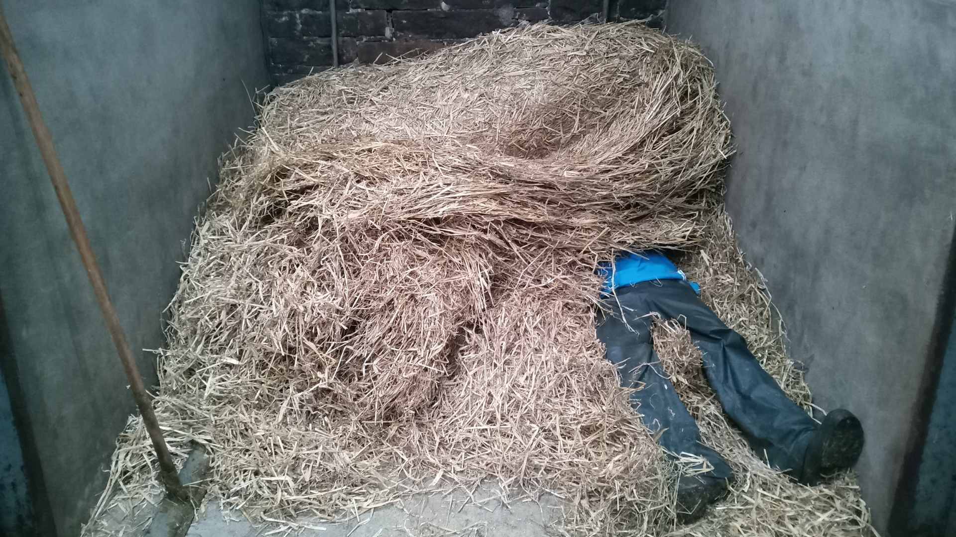 Pictures from Hackland Farms, Orkney