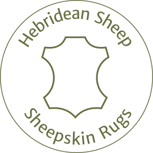 Hebridean Sheepskin Rugs from Hackland Farms, Orkney